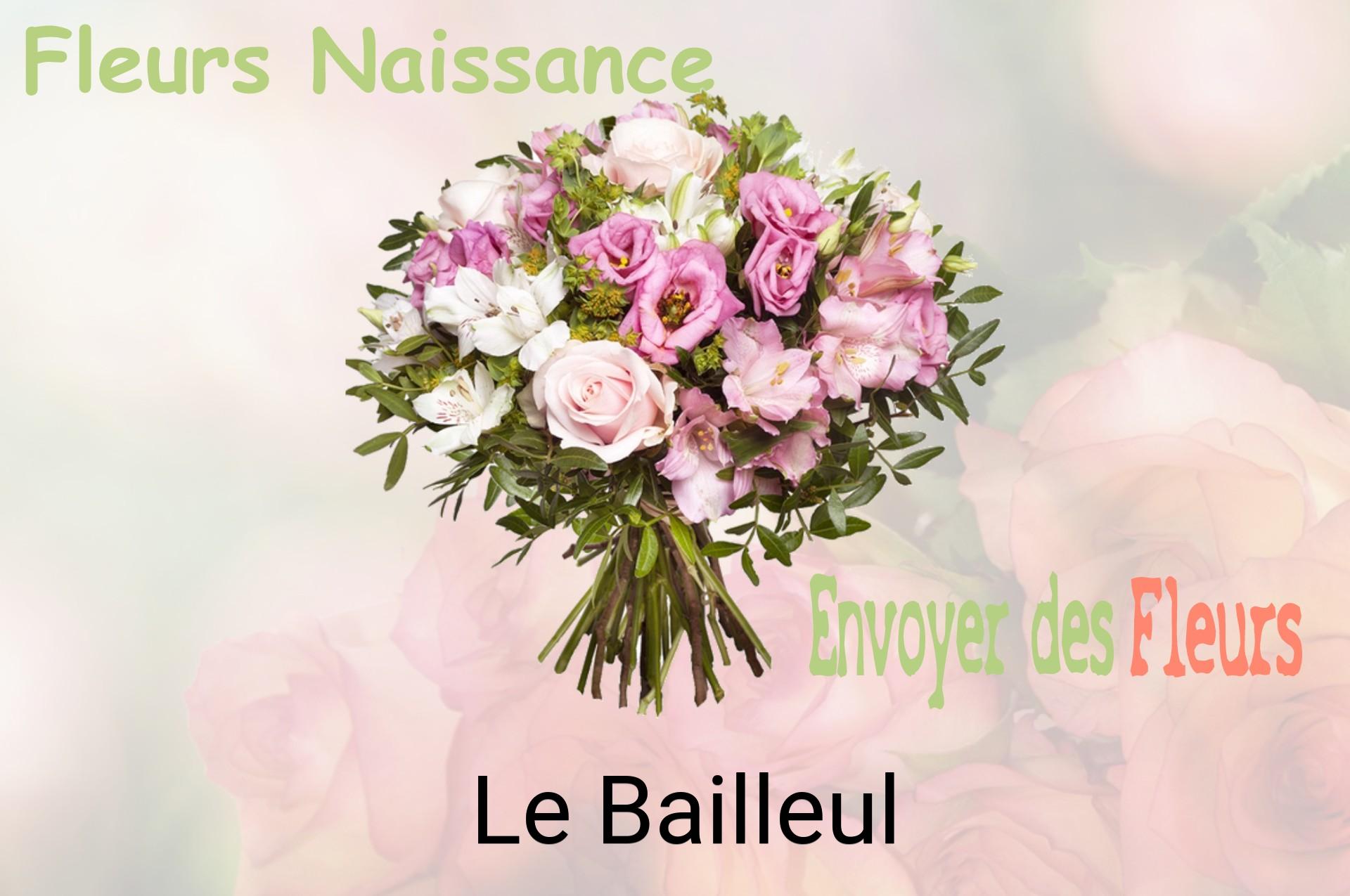Bouquet de fleurs de naissance livré à Le Bailleul